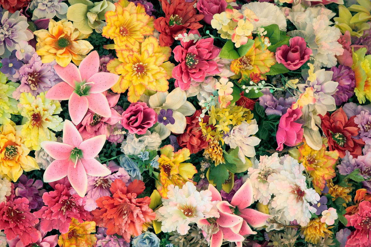 Sinh vào 6 ngày Âm lịch, hưởng trọn lộc trời, càng về già càng có phúc - Hình 2 Sinh vao 6 ngay Am lich, huong tron loc troi, cang ve gia cang co phuc-Hinh-2