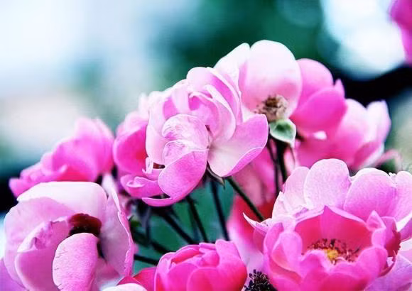 Phuc khi cua mot nguoi day hay mong, chi can nhin vao 3 dieu nay-Hinh-2