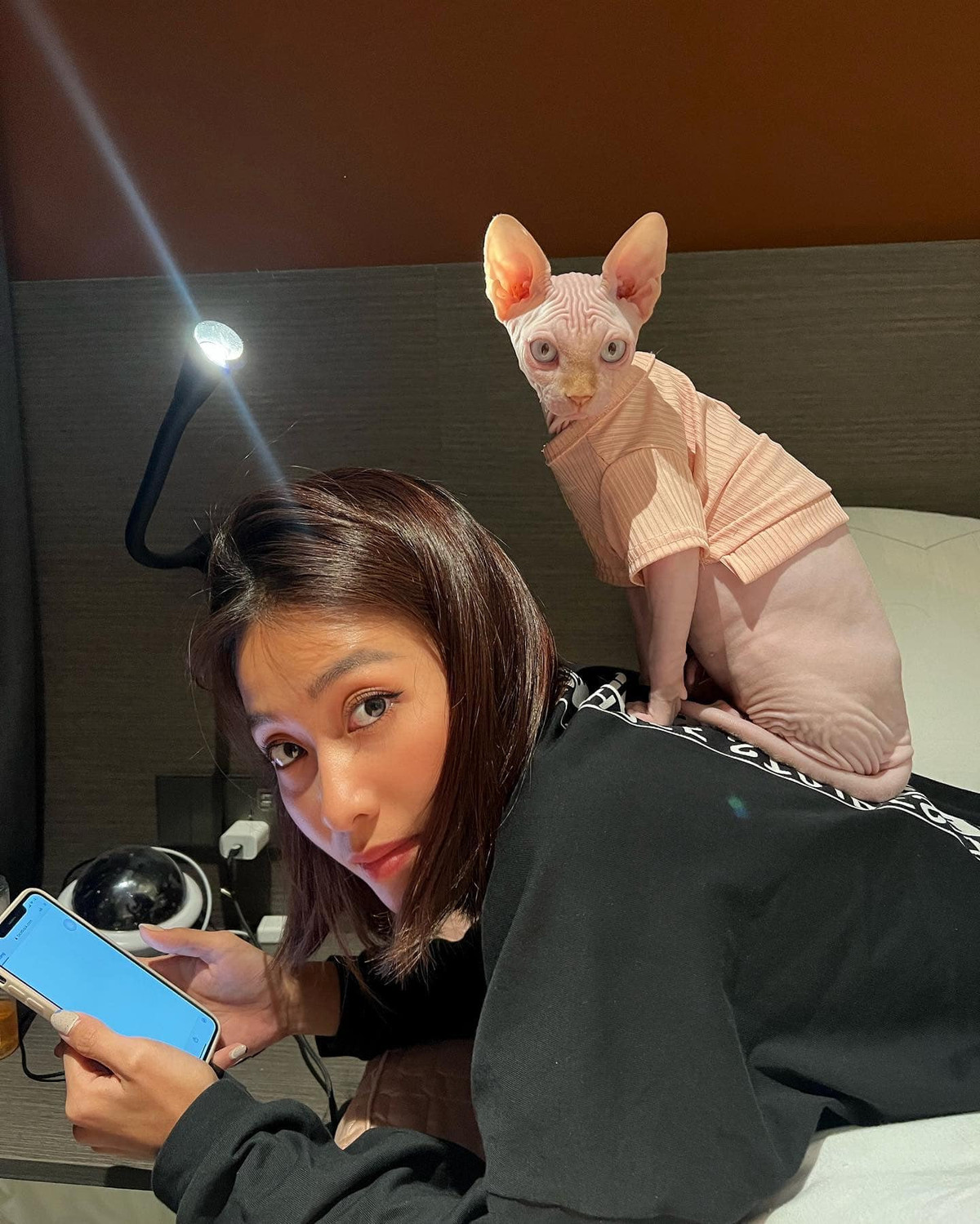 Nữ diễn viên coi chú mèo của mình không khác gì một thành viên trong gia đình.