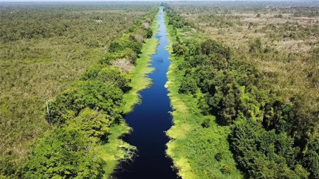 Khu rung o Viet Nam duoc xep hang quy hiem tung nhieu lan len phim-Hinh-3