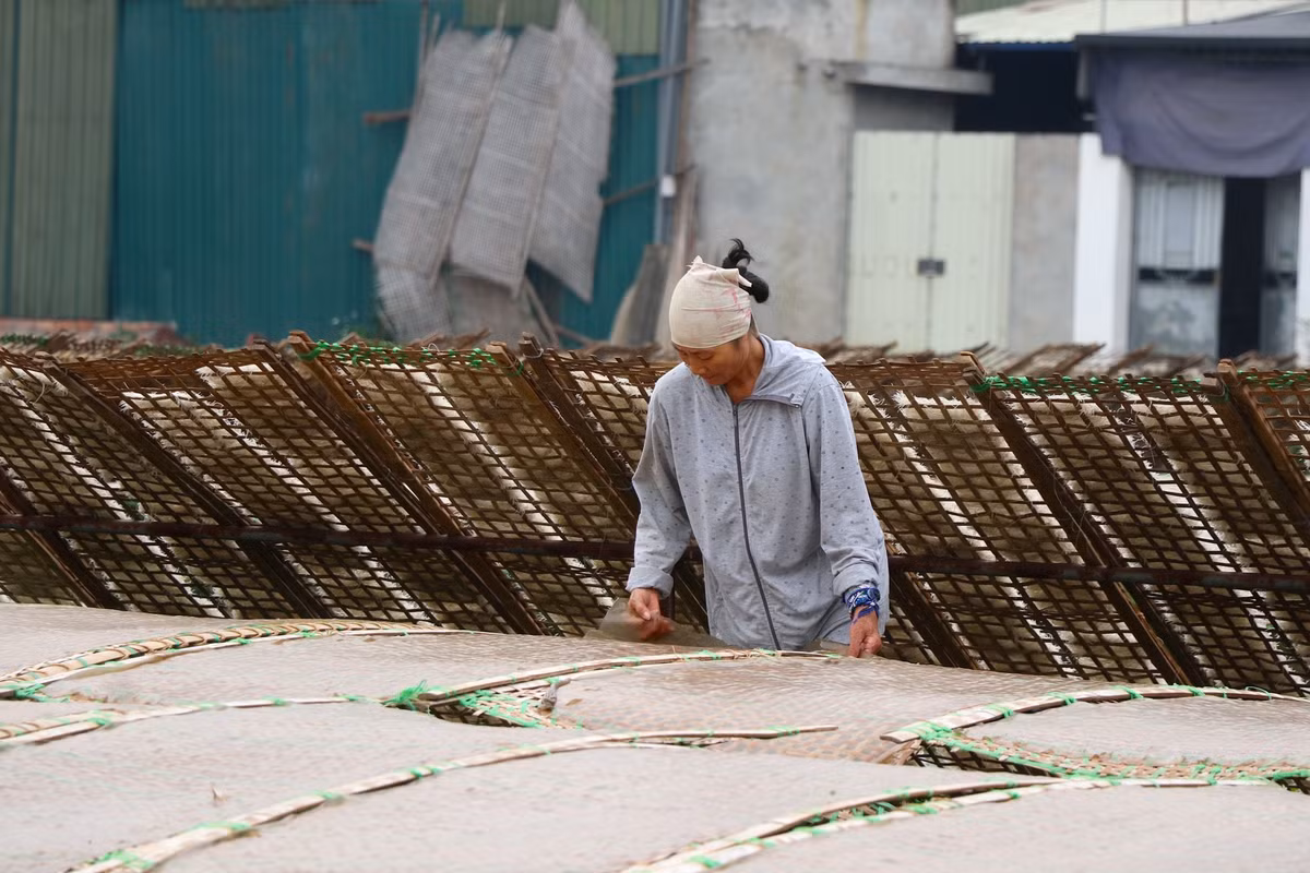 Bà Minh, một người làm thuê cho cơ sở sản xuất miến ở Xóm Đồng, xãDương Liễucho biết, miến ở đây sản xuất chủ yếu mang đi nơi khác tiêu thụ và thường tập trung vào dịp cuối năm. Tại xưởng sản xuất bà đang làm, hàng ngày có tới 5,6 nhân công sản xuất thành phẩm cho hơn 1 tấn bột.