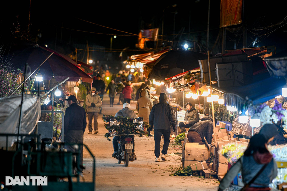 Hàng trăm loại hoa với đủ chủng loại được bày bán. Ngoài những loại hoa quen thuộc như đào, hồng, ly, cúc, đồng tiền…, còn có những loại hoa nhập ngoại như hoa tuyết mai, diên vĩ, phi yến, tulip,…