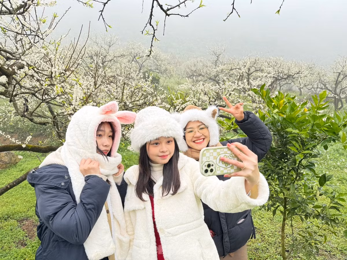 Bạn Khánh Đan cùng nhóm bạn đến từ Hà Đông chia sẻ: "Tuyến đường đi tuy xa, hơi vất vả khó đi nhưng bù lại khi đến đấy, chúng mình đã thực sự ngỡ ngàng trước vườn mận nở trắng tinh khôi, rất ấn tượng".