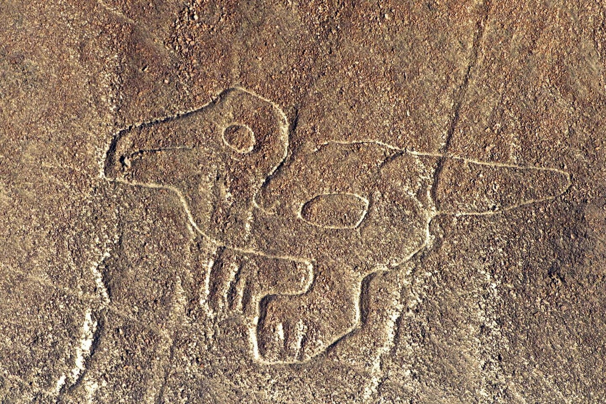 Theo các chuyên gia, người Nazca tạo ra các hình vẽ chỉ với những thiết bị đo đạc đơn giản. Các cột gỗ trên mặt đất ở đầu mút của một số hình đường thẳng đã ủng hộ ý kiến này. Trong thực nghiệm, một đội gồm vài người có thể tái tạo hình vẽ lớn nhất trong vòng 48 giờ. Ảnh: Los Angeles Times.