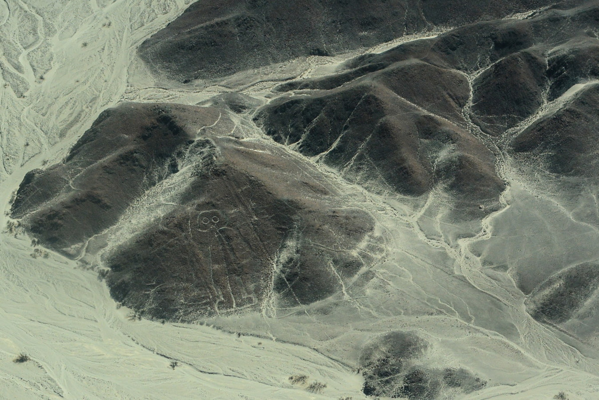 Vào thập niên 1920, lần đầu tiên chúng được nhìn từ máy bay trong một chuyến bay thương mại xuyên qua sa mạc Peru. Kể từ đó, các nhà khoa học bắt đầu quan tâm và nghiên cứu về những hình vẽ bí ẩn này. Ảnh: Wikipedia.