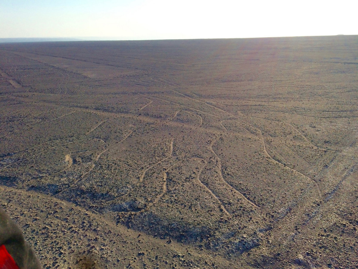 Các hình vẽ Nazca đã được nhà sử học Pedro de Cieza de León quan sát từ trên các đỉnh đồi từ năm 1547 khi ông đi theo đoàn quân của thực dân Tây Ban Nha. Ảnh: Expedia.com.