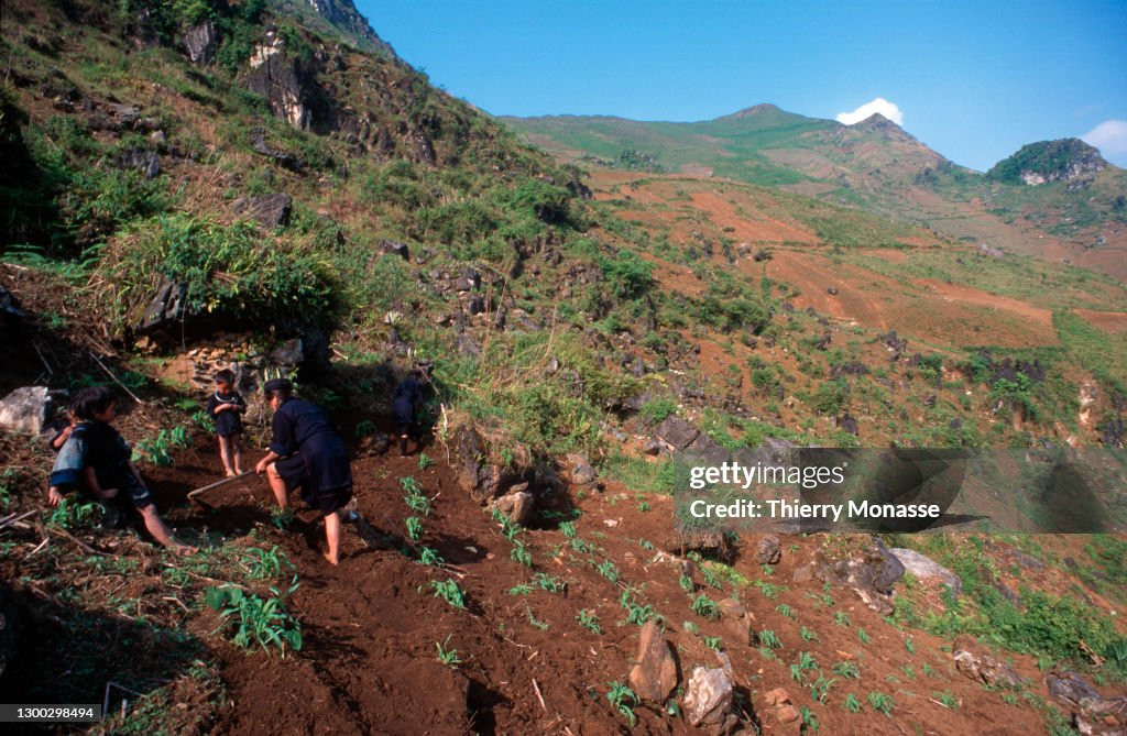 Người phụ nữ H'Mông cuốc đất trên triền núi, những đứa con đứng bên cạnh.