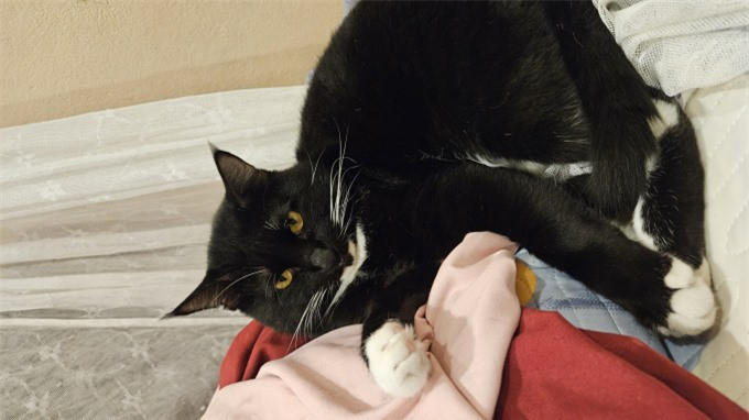 Chi hon nua thang luong cho tien xe va an, GenZ cam thay “xung dang”-Hinh-2