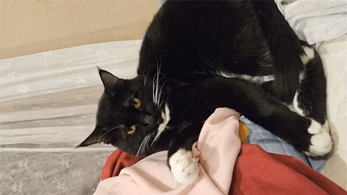 Chi hon nua thang luong cho tien xe va an, GenZ cam thay “xung dang”-Hinh-2