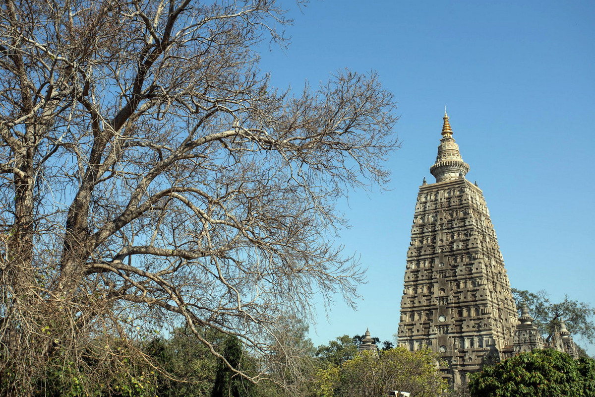 Sau 7 tuần, Đức Phật đã tới Sarnath, nơi ngài bắt đầu giảng dạy Phật pháp, khai sinh một tôn giáo có ảnh hưởng lớn đến nhân loại. Ảnh: Vecteezy.