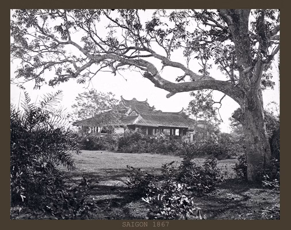 Khung cảnh hoang sơ ở lăng Cha Cả.