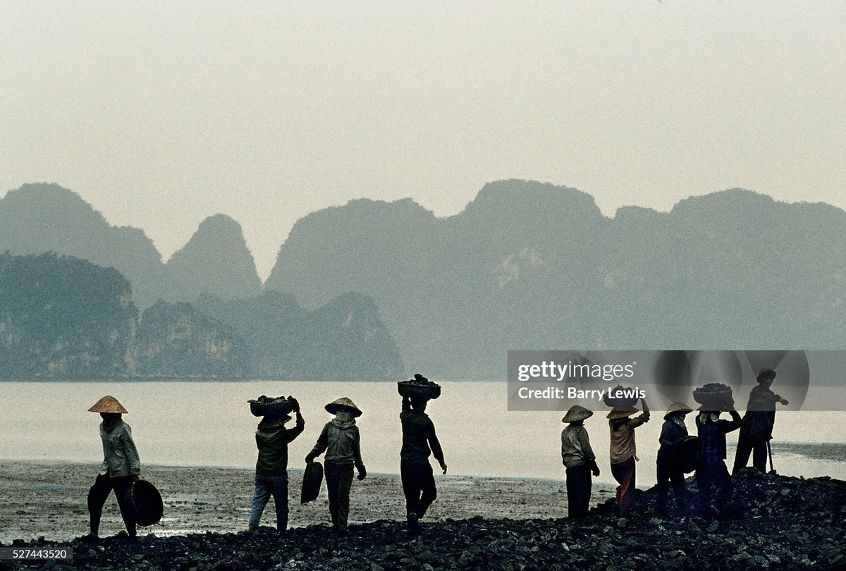 Các nữ công nhân chất than antraxit lên sà lan tại cảng than ở thị xã Cẩm Phả.