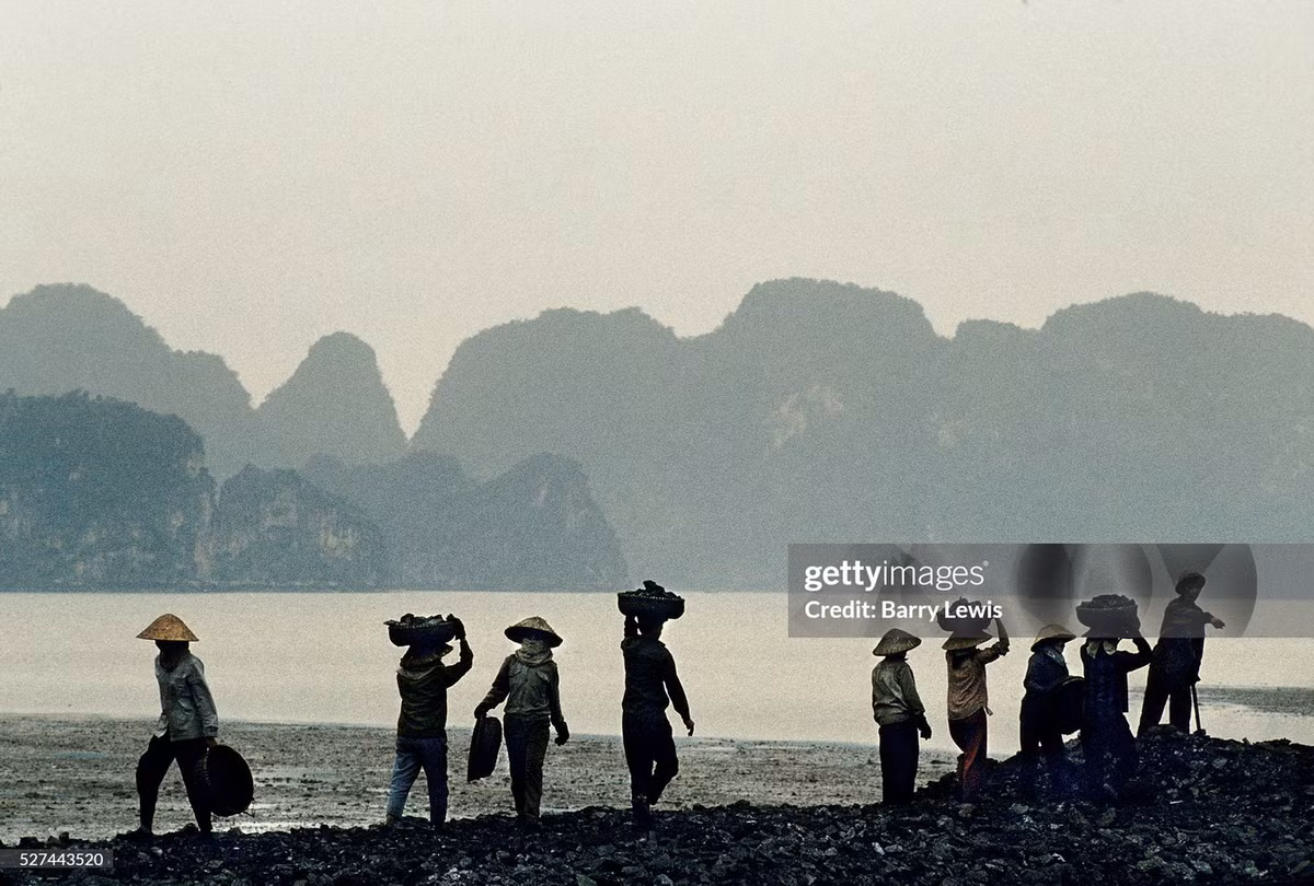 Các nữ công nhân chất than antraxit lên sà lan tại cảng than ở thị xã Cẩm Phả.