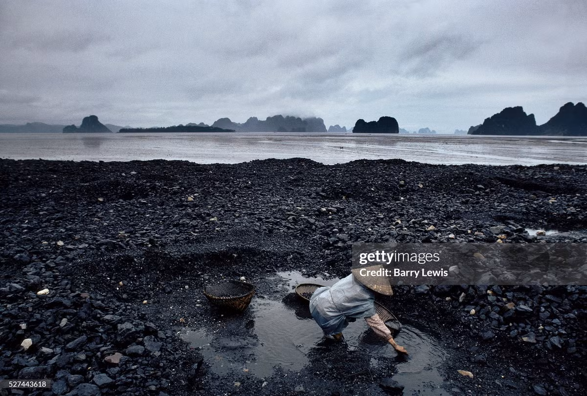 Một nữ công nhân nhặt than từ bãi thải than.