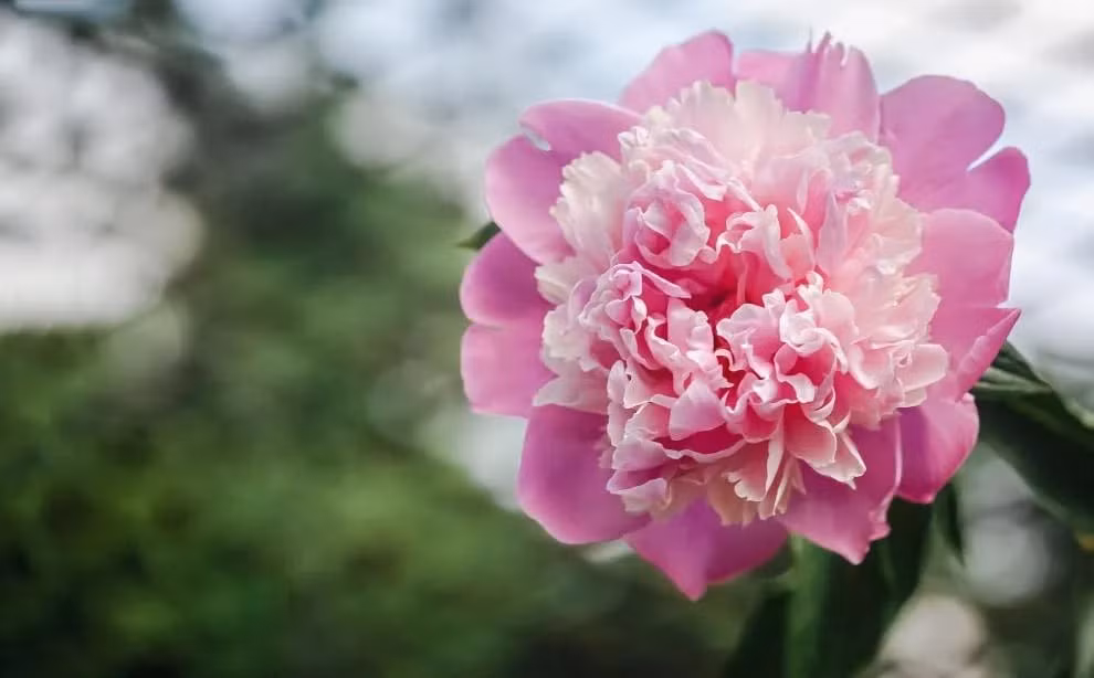 Nguoi sinh thang Am lich nay tien bac du da, giau nut do nam 2024