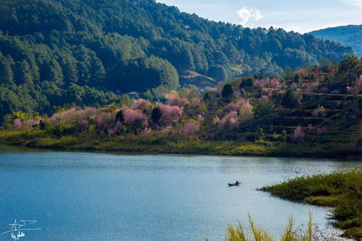 Day la 5 diem ngam mai anh dao dep nhat o Da Lat-Hinh-5