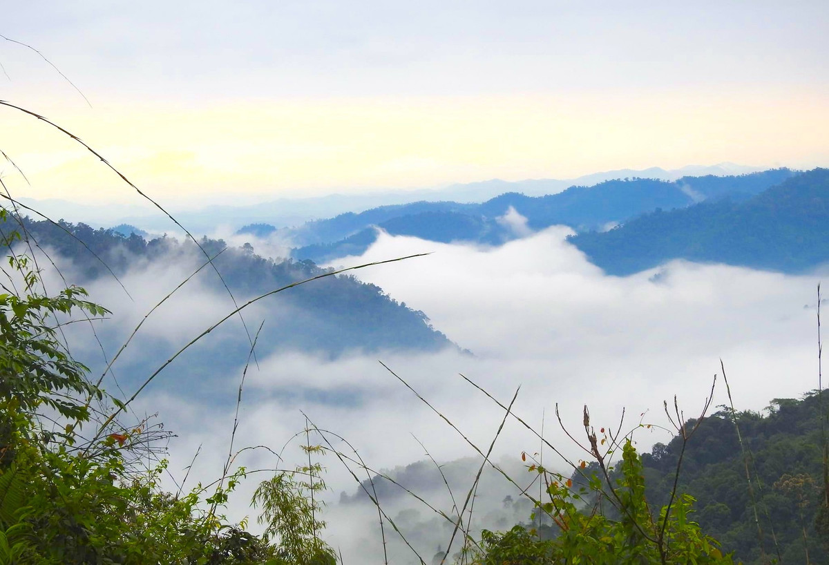 Nơi đây từng được mệnh danh là “chốn tiên cảnh” của Nghệ An. Không chỉ thu hút du khách bởi khung cảnh thiên nhiên tuyệt đẹp, nơi đây còn có những thác nước hùng vĩ,đa dạng sinh họcvới hàng nghìn loài thực vật và động vật.