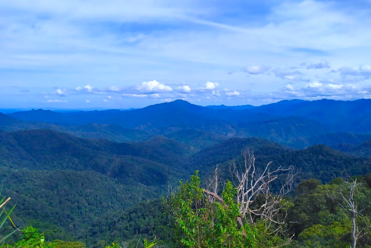  Vườn quốc gia Pù Mát là một khu rừng đặc dụng, có diện tích 94.804 ha, trải rộng trên 3 huyện Tương Dương, Con Cuông và Anh Sơn của tỉnhNghệ An. Theo tiếng đồng bào dân tộc Thái, Pù Mát có nghĩa là những con dốc cao. Vườn quốc gia Pù Mát được xác định là vùng lõi của khu dự trữ sinh quyển miền tây Nghệ An do UNESCO công nhận năm 2007.