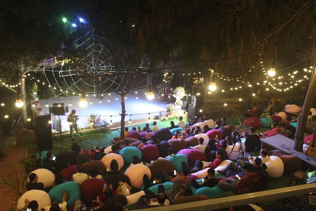 Thưởng thức không gian âm nhạc bên những đồi thông.