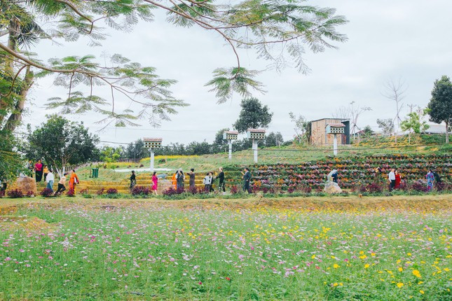 Được ví là Đà Lạt thu nhỏ tại Nghệ An, Khu du lịch sinh thái Hòn Mát ở xã Nghĩa Lộc, huyện Nghĩa Đàn luôn thu hút khách tới tham quan trong những ngày nghỉ Tết dương lịch.