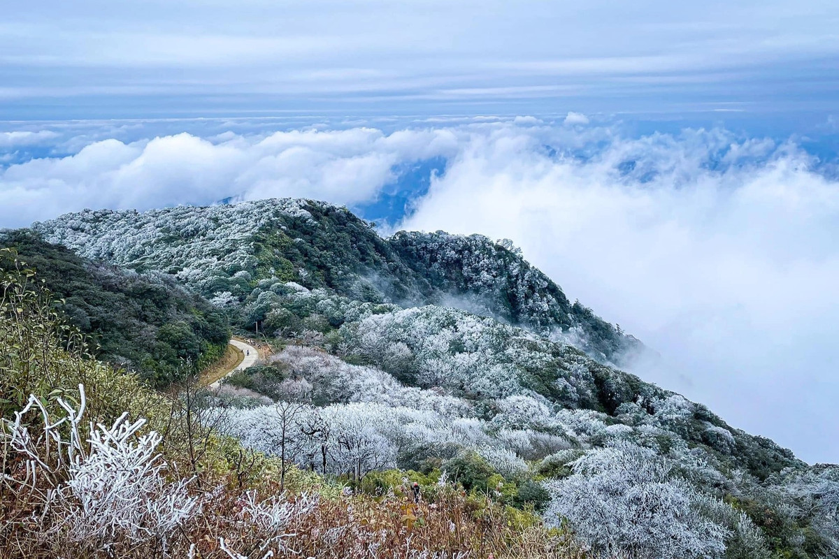 Thiên nhiên trên đỉnh Phia Oắc bao phủ bởi lớp băng tuyết trắng xóa, ngày 23/1 (Ảnh: Thần Sầu).