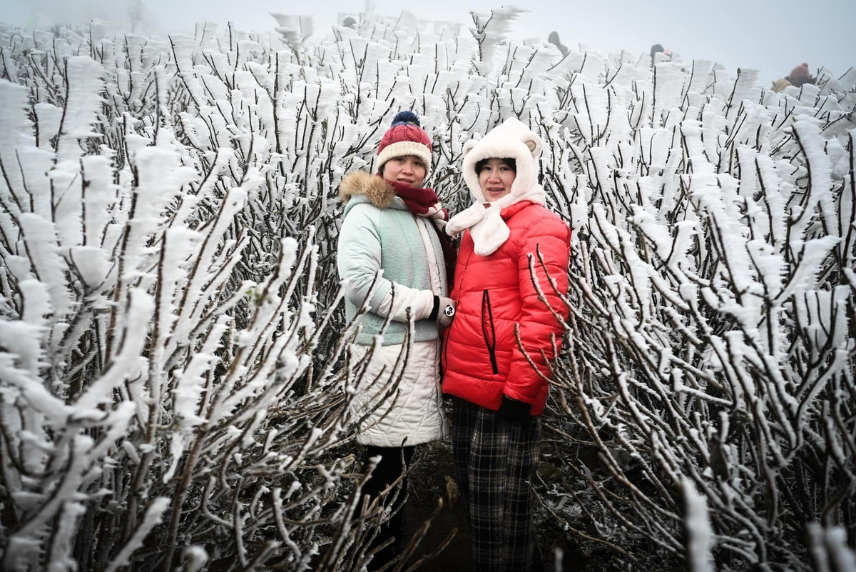 Nhiều du khách Việt ngay khi biết tin có băng tuyết ở các địa điểm trên đã lên kế hoạch "đi tìm giấc mơ tuyết trắng". Nhiều người sẵn sàng di chuyển ngay trong đêm, bất chấp thời tiết giá rét (Ảnh: Tú Hoàng).