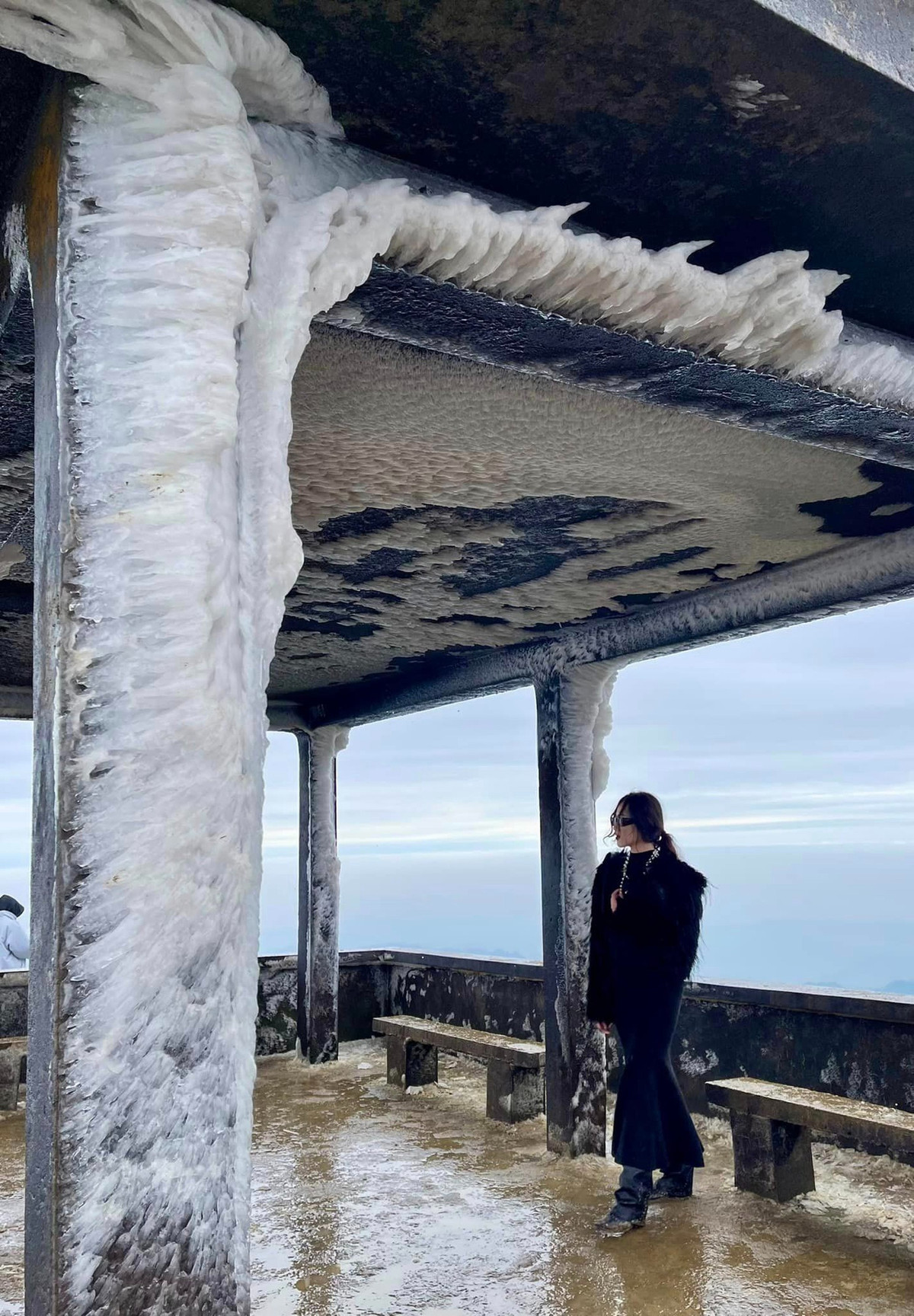 Có mặt tại đỉnh Mẫu Sơn ngày 25/1, du khách Nguyễn Hoàng Nga chia sẻ: "Không thể tin đây là Việt Nam". Cô gái trẻ thấy ngỡ ngàng đứng trước khung cảnh nhà cửa, cây cối phủ băng tuyết trắng xóa (Ảnh: Nguyễn Hoàng Nga).