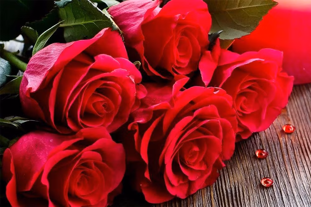 Dat 3 loai hoa nay len ban tho Than Tai don cat khi, vuong tai loc-Hinh-3