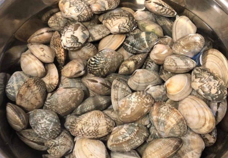 Ngao mua ve ngam voi nuoc nay chi 10 phut la sach-Hinh-3