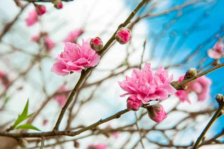 Thời trẻ, những người này nhiều vất vả, thường xuyên phải bôn ba đây đó, tuy vậy họ đã cố gắng rất nhiều để có hậu vận sung túc.