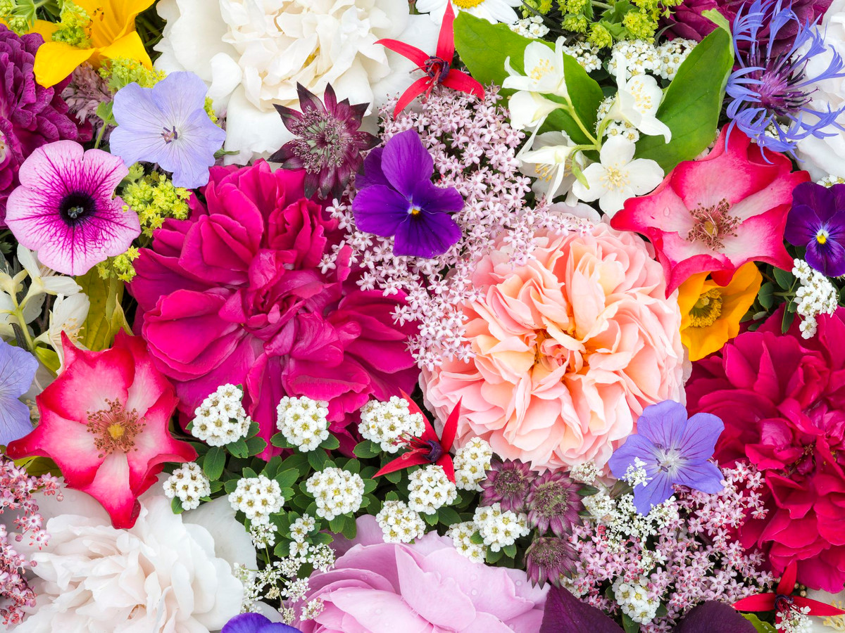 Tre sinh vao 3 khung gio Am nay, phuc khi doi dao, lam sep lon-Hinh-2