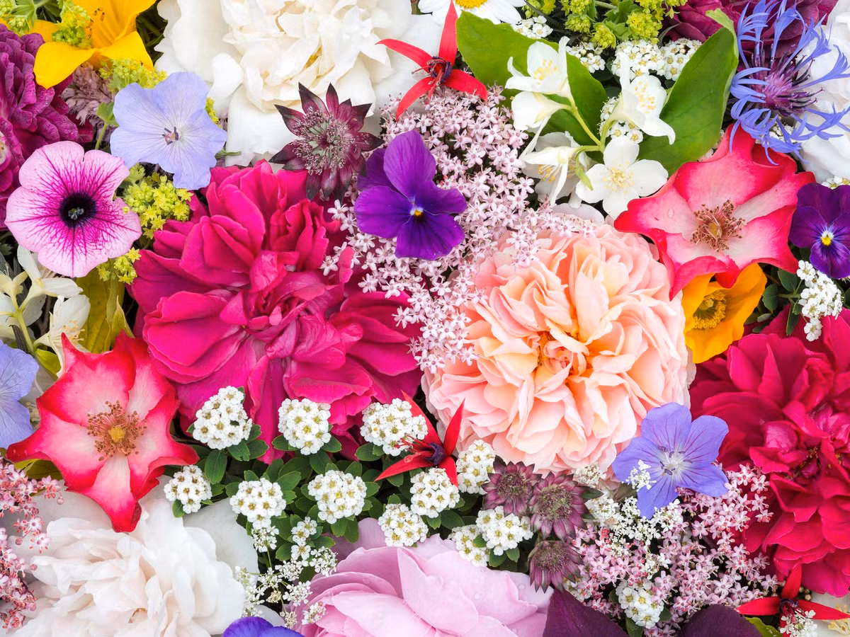 Tre sinh vao 3 khung gio Am nay, phuc khi doi dao, lam sep lon-Hinh-2