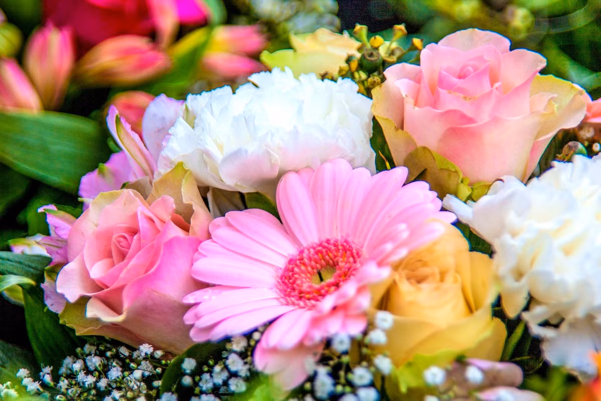 Tre sinh vao 3 khung gio Am nay, phuc khi doi dao, lam sep lon