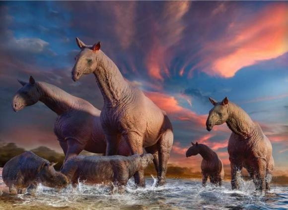 4 loai dong vat co chiec co dai nhat trong lich su trai dat-Hinh-3