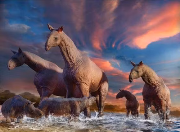 4 loai dong vat co chiec co dai nhat trong lich su trai dat-Hinh-3