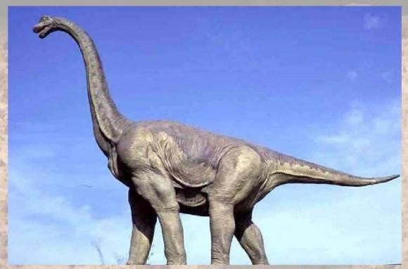 4 loai dong vat co chiec co dai nhat trong lich su trai dat-Hinh-2