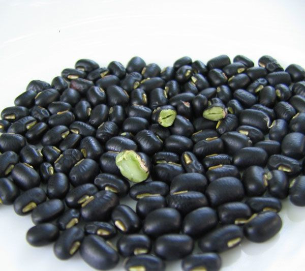 Che do den cho them thia nay hat nao cung lanh lan ma mem ngon-Hinh-2