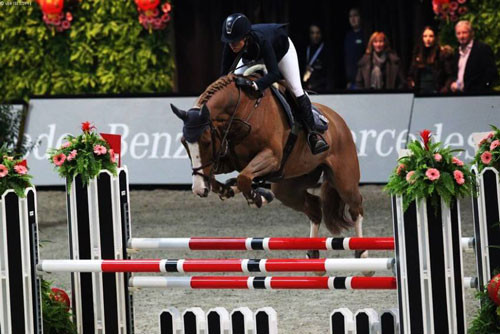 6. Chú ngựa Palloubet d’Halong (giá: 15 triệu USD).