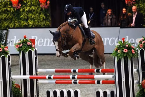 6. Chú ngựa Palloubet d’Halong (giá: 15 triệu USD).