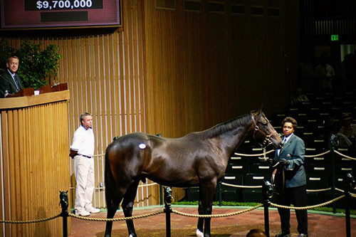 10. Chú ngựa Jalil (giá: 9,7 triệu USD).