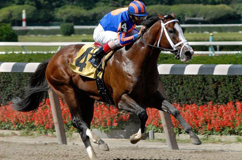 5. Chú ngựa The Green Monkey (giá: 16 triệu USD).