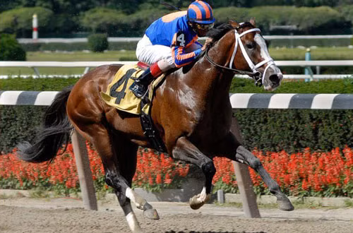 5. Chú ngựa The Green Monkey (giá: 16 triệu USD).