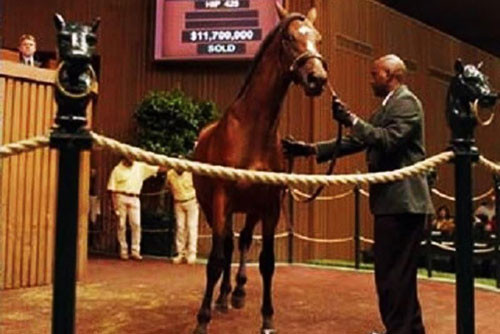 8. Chú ngựa Meydan City (giá: 11,7 triệu USD).