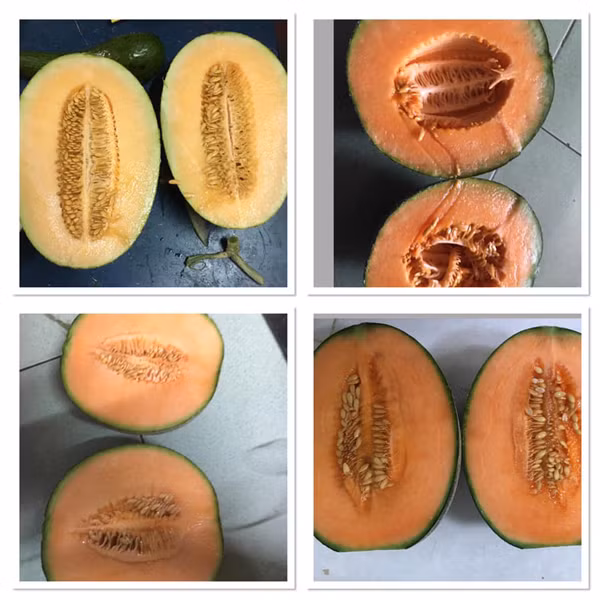 Bo ra 4 trieu dong, vo chong tre thu ve vuon dua triu qua-Hinh-8