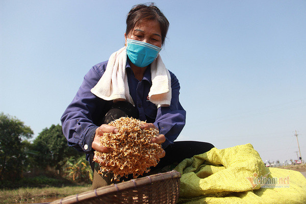 Doi quan 'giai cuu' ruong trong khu phong toa tam dich Chi Linh ngay giap Tet