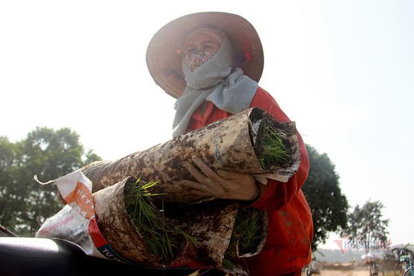 Doi quan 'giai cuu' ruong trong khu phong toa tam dich Chi Linh ngay giap Tet-Hinh-6