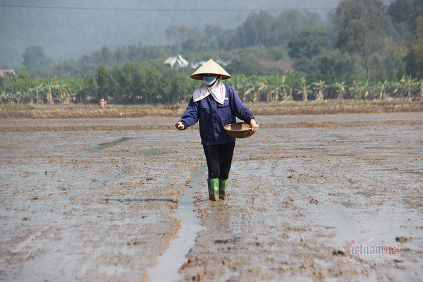 Doi quan 'giai cuu' ruong trong khu phong toa tam dich Chi Linh ngay giap Tet-Hinh-3