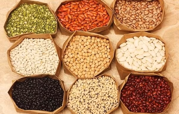 Muon song tho nhat dinh phai an nhung mon nay