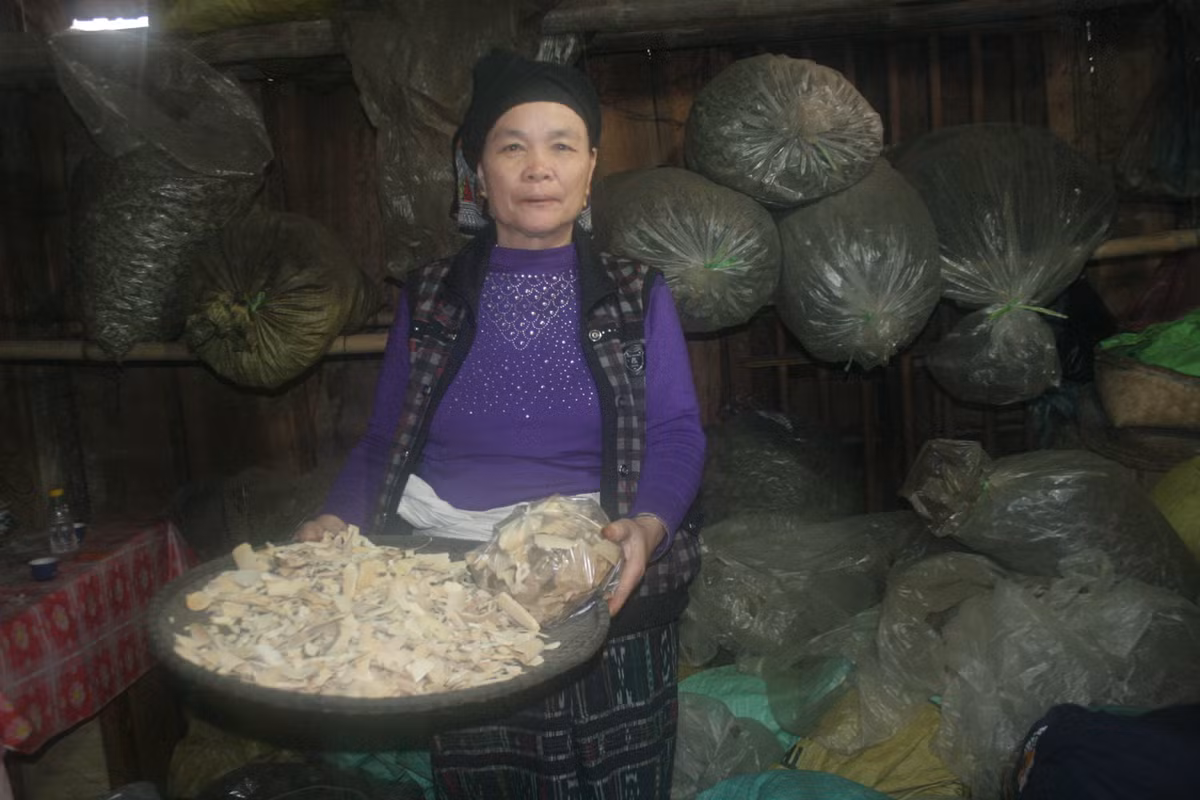 Ảnh bà Quynh chữa thoái hóa khớp.