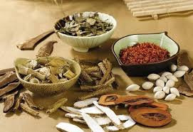 Đông dược trong điều trị thiếu máu não.